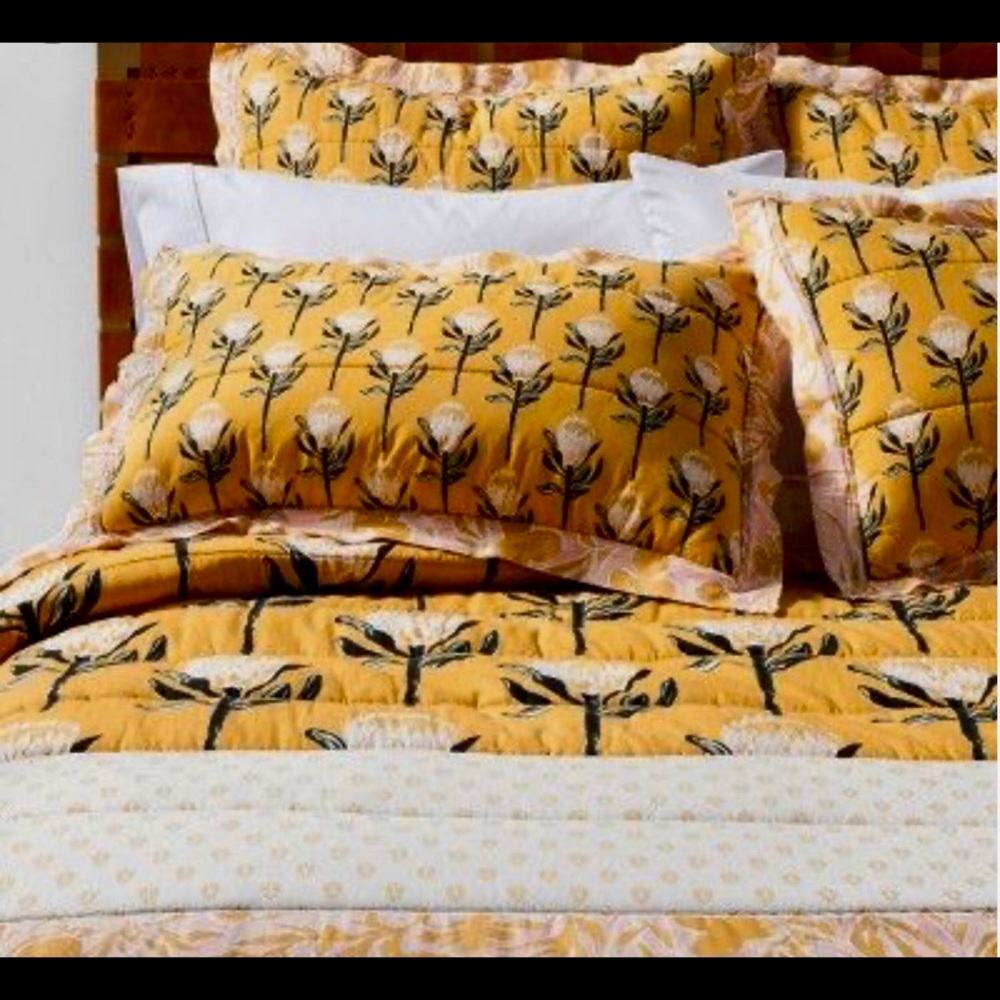Opalhouse Desert Rose Pillow Shams (2)